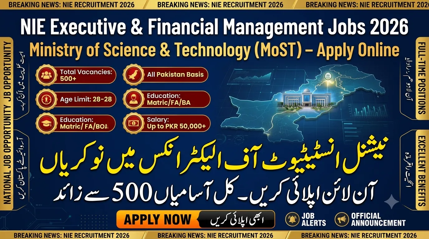 NIE Executive and Financial Management Jobs 2026